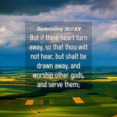 Picture 04 - Deuteronomy 30:17 KJV - But if thine heart turn away, so that thou wilt - Bible Verse Picture