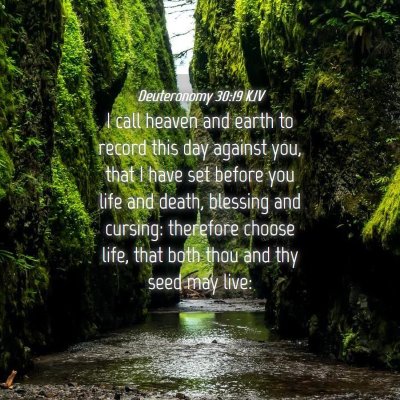 Picture 04 - Deuteronomy 30:19 KJV - I call heaven and earth to record this day - Bible Verse Picture