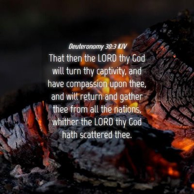 Picture 04 - Deuteronomy 30:3 KJV - That then the LORD thy God will turn thy - Bible Verse Picture