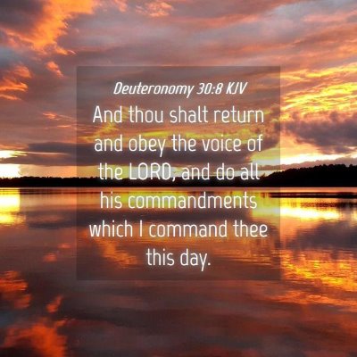 Picture 04 - Deuteronomy 30:8 KJV - And thou shalt return and obey the voice of the - Bible Verse Picture