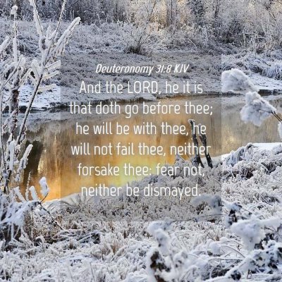 Picture 04 - Deuteronomy 31:8 KJV - And the LORD, he it is that doth go before thee; - Bible Verse Picture