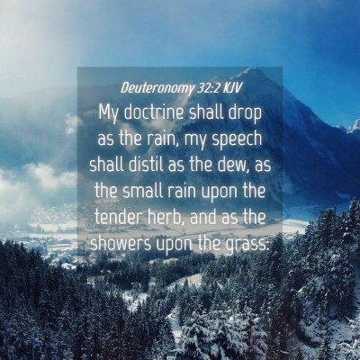 Picture 04 - Deuteronomy 32:2 KJV - My doctrine shall drop as the rain, my speech - Bible Verse Picture