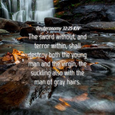 Picture 04 - Deuteronomy 32:25 KJV - The sword without, and terror within, shall - Bible Verse Picture