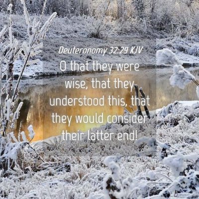 Picture 04 - Deuteronomy 32:29 KJV - O that they were wise, that they understood this, - Bible Verse Picture