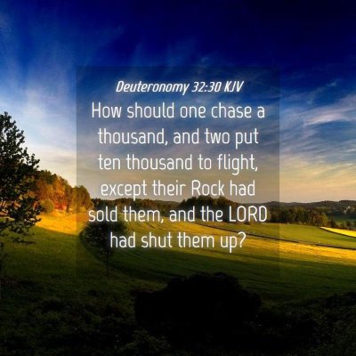 Picture 04 - Deuteronomy 32:30 KJV - How should one chase a thousand, and two put ten - Bible Verse Picture
