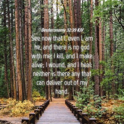 Picture 04 - Deuteronomy 32:39 KJV - See now that I, even I, am he, and there is no - Bible Verse Picture
