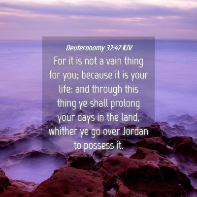 Picture 04 - Deuteronomy 32:47 KJV - For it is not a vain thing for you; because it is - Bible Verse Picture