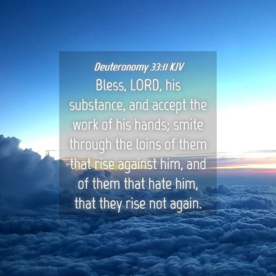 Picture 04 - Deuteronomy 33:11 KJV - Bless, LORD, his substance, and accept the work - Bible Verse Picture