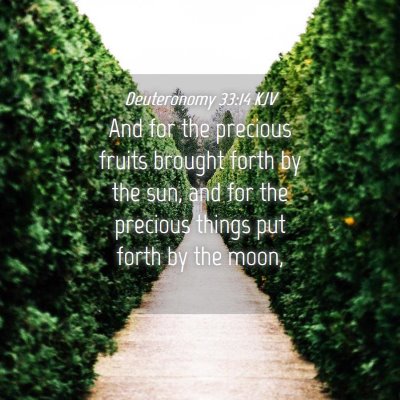 Picture 04 - Deuteronomy 33:14 KJV - And for the precious fruits brought forth by the - Bible Verse Picture