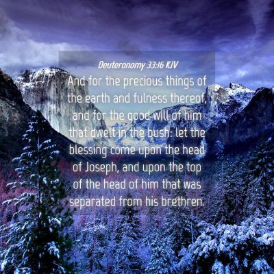 Picture 04 - Deuteronomy 33:16 KJV - And for the precious things of the earth and - Bible Verse Picture