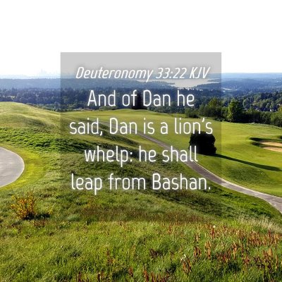Picture 04 - Deuteronomy 33:22 KJV - And of Dan he said, Dan is a lion's whelp: he - Bible Verse Picture