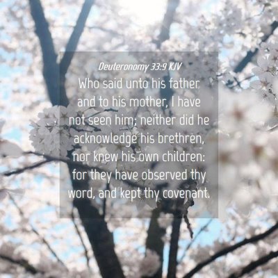 Picture 04 - Deuteronomy 33:9 KJV - Who said unto his father and to his mother, I - Bible Verse Picture