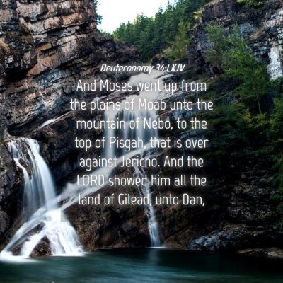 Picture 04 - Deuteronomy 34:1 KJV - And Moses went up from the plains of Moab unto - Bible Verse Picture