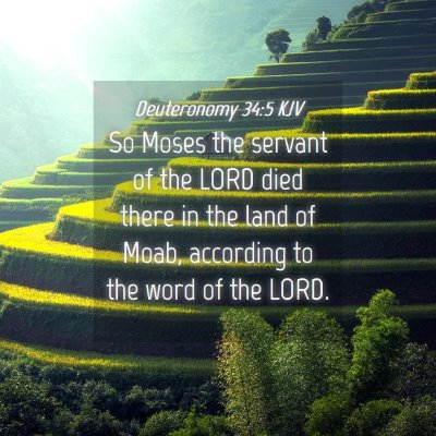 Picture 04 - Deuteronomy 34:5 KJV - So Moses the servant of the LORD died there in - Bible Verse Picture