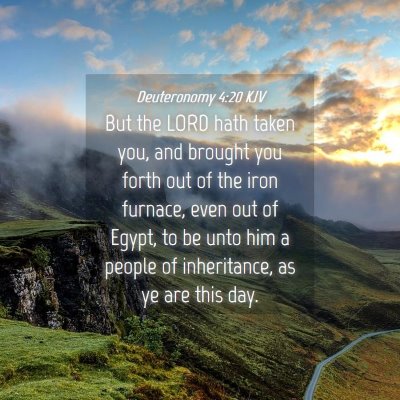 Picture 04 - Deuteronomy 4:20 KJV - But the LORD hath taken you, and brought you - Bible Verse Picture