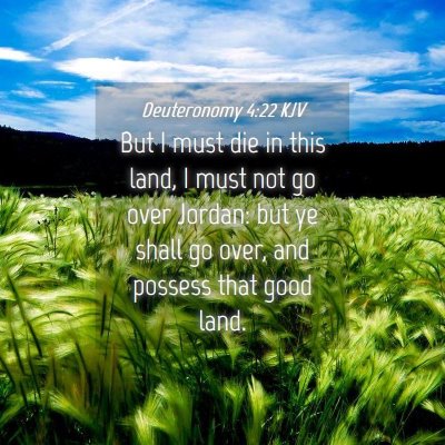 Picture 04 - Deuteronomy 4:22 KJV - But I must die in this land, I must not go over - Bible Verse Picture