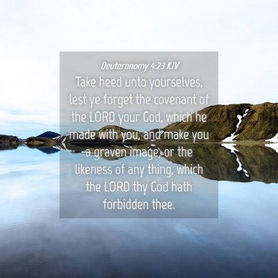 Picture 04 - Deuteronomy 4:23 KJV - Take heed unto yourselves, lest ye forget the - Bible Verse Picture
