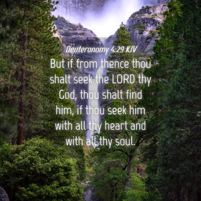 Picture 04 - Deuteronomy 4:29 KJV - But if from thence thou shalt seek the LORD thy - Bible Verse Picture