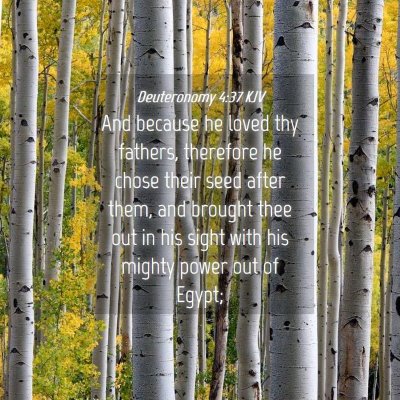 Picture 04 - Deuteronomy 4:37 KJV - And because he loved thy fathers, therefore he - Bible Verse Picture