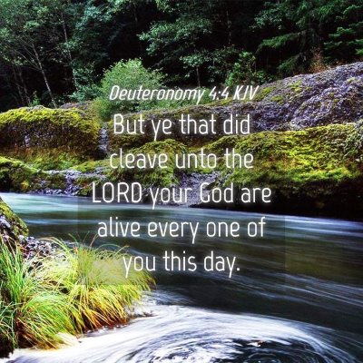 Picture 04 - Deuteronomy 4:4 KJV - But ye that did cleave unto the LORD your God are - Bible Verse Picture