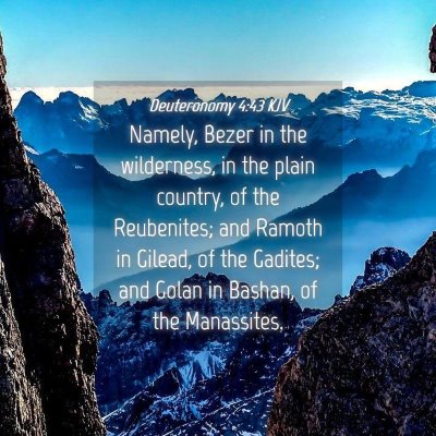 Picture 04 - Deuteronomy 4:43 KJV - Namely, Bezer in the wilderness, in the plain - Bible Verse Picture
