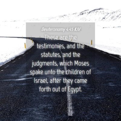 Picture 04 - Deuteronomy 4:45 KJV - These are the testimonies, and the statutes, and - Bible Verse Picture