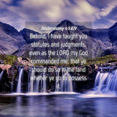 Picture 04 - Deuteronomy 4:5 KJV - Behold, I have taught you statutes and judgments, - Bible Verse Picture