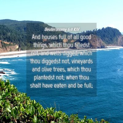 Picture 04 - Deuteronomy 6:11 KJV - And houses full of all good things, which thou - Bible Verse Picture