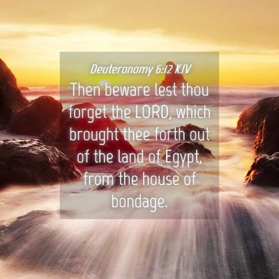 Picture 04 - Deuteronomy 6:12 KJV - Then beware lest thou forget the LORD, which - Bible Verse Picture