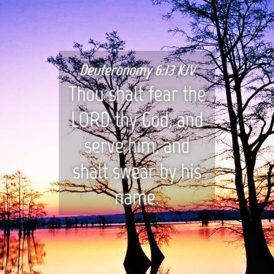 Picture 04 - Deuteronomy 6:13 KJV - Thou shalt fear the LORD thy God, and serve him, - Bible Verse Picture