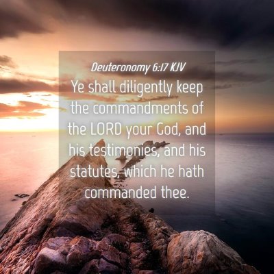 Picture 04 - Deuteronomy 6:17 KJV - Ye shall diligently keep the commandments of the - Bible Verse Picture