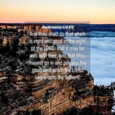 Picture 04 - Deuteronomy 6:18 KJV - And thou shalt do that which is right and good in - Bible Verse Picture