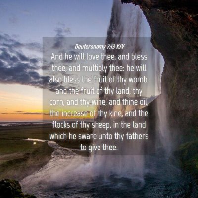 Picture 04 - Deuteronomy 7:13 KJV - And he will love thee, and bless thee, and - Bible Verse Picture