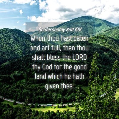 Picture 04 - Deuteronomy 8:10 KJV - When thou hast eaten and art full, then thou - Bible Verse Picture