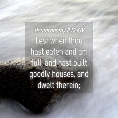 Picture 04 - Deuteronomy 8:12 KJV - Lest when thou hast eaten and art full, and hast - Bible Verse Picture