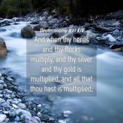 Picture 04 - Deuteronomy 8:13 KJV - And when thy herds and thy flocks multiply, and - Bible Verse Picture