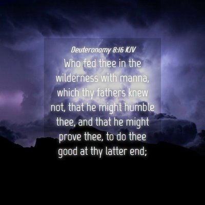 Picture 04 - Deuteronomy 8:16 KJV - Who fed thee in the wilderness with manna, which - Bible Verse Picture
