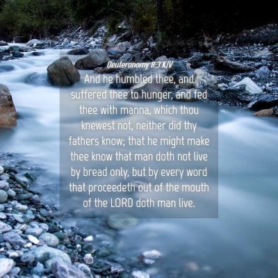 Picture 04 - Deuteronomy 8:3 KJV - And he humbled thee, and suffered thee to hunger, - Bible Verse Picture