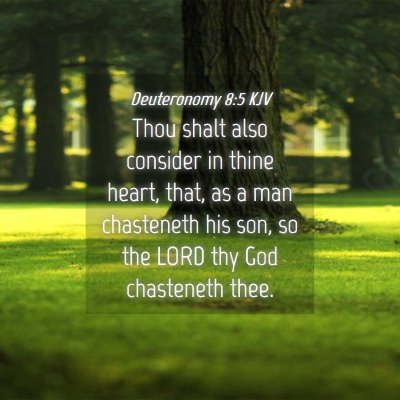 Picture 04 - Deuteronomy 8:5 KJV - Thou shalt also consider in thine heart, that, as - Bible Verse Picture