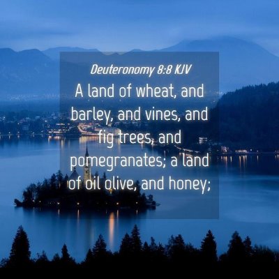 Picture 04 - Deuteronomy 8:8 KJV - A land of wheat, and barley, and vines, and fig - Bible Verse Picture