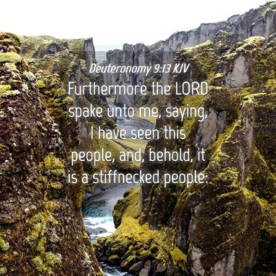 Picture 04 - Deuteronomy 9:13 KJV - Furthermore the LORD spake unto me, saying, I - Bible Verse Picture