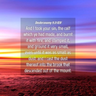 Picture 04 - Deuteronomy 9:21 KJV - And I took your sin, the calf which ye had made, - Bible Verse Picture