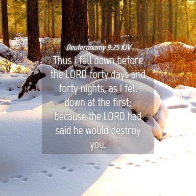 Picture 04 - Deuteronomy 9:25 KJV - Thus I fell down before the LORD forty days and - Bible Verse Picture