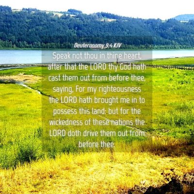 Picture 04 - Deuteronomy 9:4 KJV - Speak not thou in thine heart, after that the - Bible Verse Picture