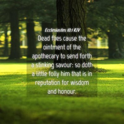 Picture 04 - Ecclesiastes 10:1 KJV - Dead flies cause the ointment of the apothecary - Bible Verse Picture