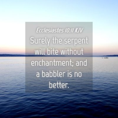 Picture 04 - Ecclesiastes 10:11 KJV - Surely the serpent will bite without enchantment; - Bible Verse Picture
