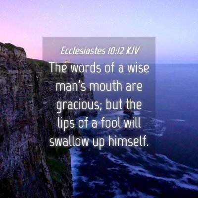 Picture 04 - Ecclesiastes 10:12 KJV - The words of a wise man's mouth are gracious; but - Bible Verse Picture
