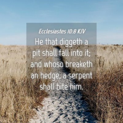 Picture 04 - Ecclesiastes 10:8 KJV - He that diggeth a pit shall fall into it; and - Bible Verse Picture