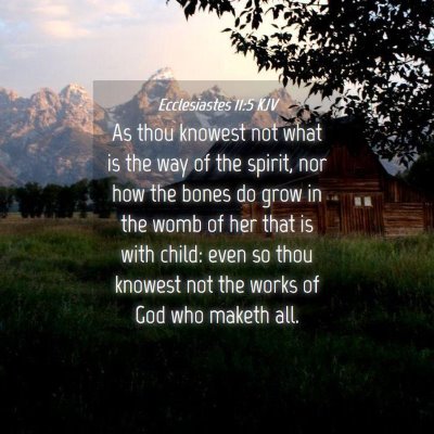 Picture 04 - Ecclesiastes 11:5 KJV - As thou knowest not what is the way of the - Bible Verse Picture