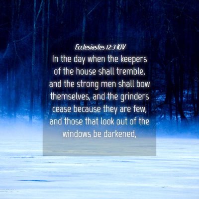 Picture 04 - Ecclesiastes 12:3 KJV - In the day when the keepers of the house shall - Bible Verse Picture